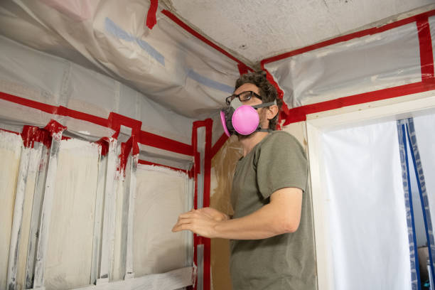 Best Mold Odor Removal Services  in Fair Haven, NY